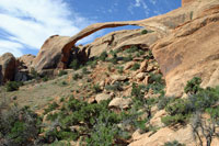 Landscape Arch